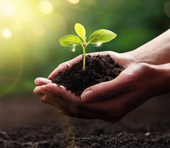 Aziende_Agricole_Riblo (2)